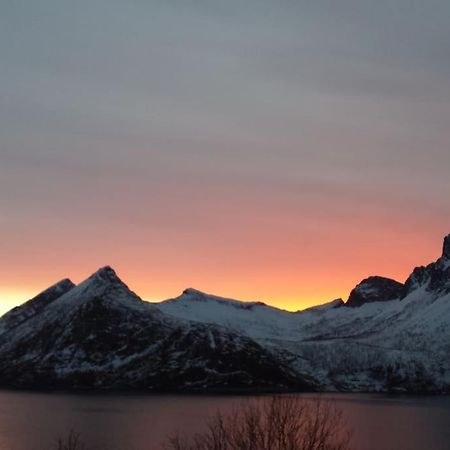 Senja, Husoy I Senja. Leilighet Med Utsikt Over Fjord Og Fjell Tofta Luaran gambar